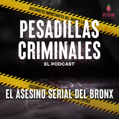 episode El asesino serial del Bronx artwork