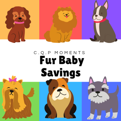 episode Fur Baby Savings artwork
