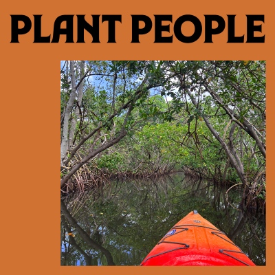 episode Mangroves: Earth's Coastal Caretakers artwork