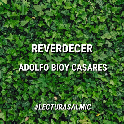 episode Reverdecer - Adolfo Bioy Casares artwork