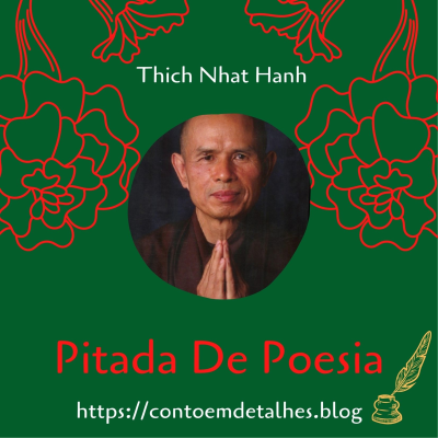 episode #23 Chame-me pelos meus nomes verdadeiros, por favor. - Thich Nhat Hanh. artwork