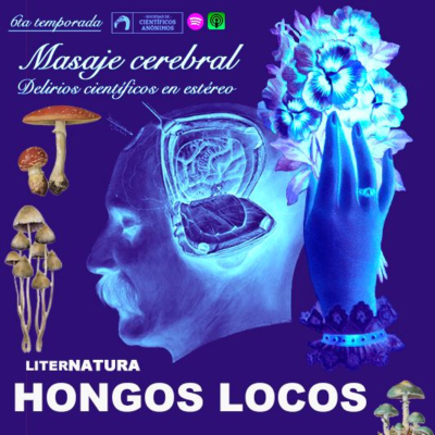 episode LITERNATURA - HONGOS LOCOS artwork