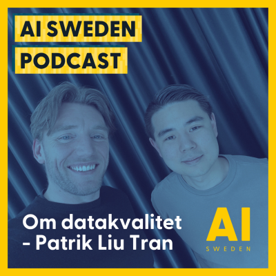episode ”Garbage in, disaster out” - Om datakvalitet, data-trust och databaserat affärsvärde plus hur AI kan hjälpa er lösa era datautmaningar - Patrik Liu Tran, Validio artwork
