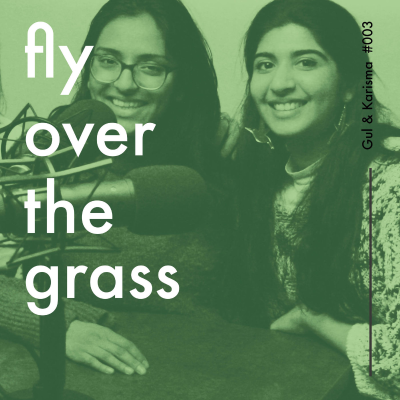 episode Fly Over the Grass #003: Gul Rasool & Karisma Desai on shifting approaches to policy making artwork