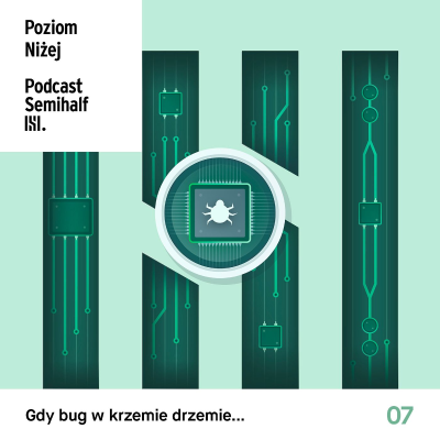 episode #007 - Gdy bug w krzemie drzemie... artwork