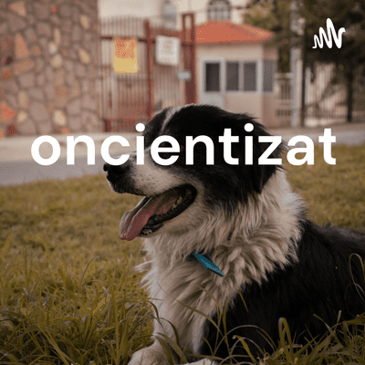 Concientizate
