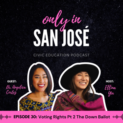 episode Episode 30: Voting Rights Pt 2 the Down Ballot with Dr. Angelica Cortez artwork