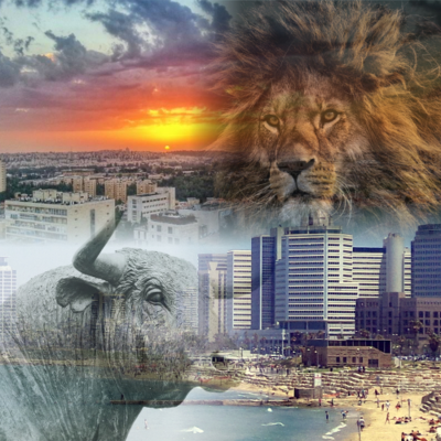 episode TNS 132 The Meaning of Israel's War on Iran (with Jacob Siegel) artwork