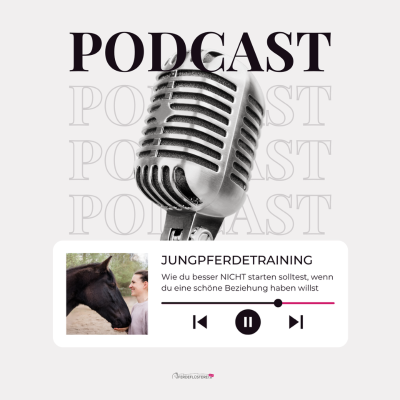 episode Jungpferde trainieren ohne Stress artwork