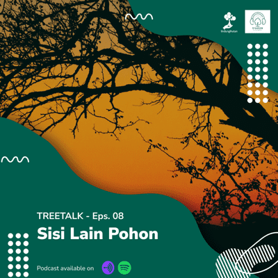 episode EPS.08 - Sisi Lain Pohon artwork