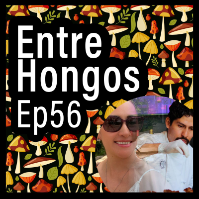episode Entre Hongos Ep. 56 - La Feria del Hongo de Durango (Ing. Sujey Delgado & Chef Marvin Reyes) artwork