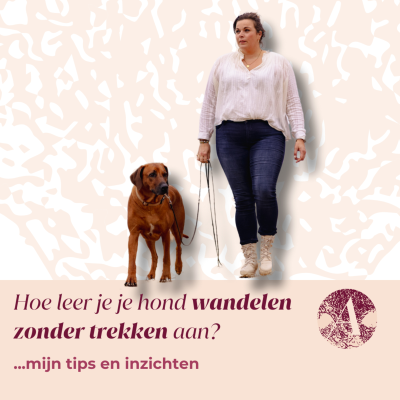 episode Hoe leer je je hond wandelen zonder trekken aan? #119 artwork