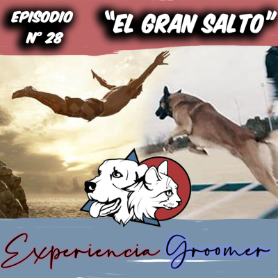 episode Episodio N°28 | Cuando Dar el Gran "SALTO" artwork