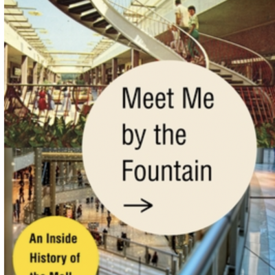 The Avid Reader Show - Episode 667: Alexandra Lange - Meet Me by the Fountain: An Inside History of the Mall