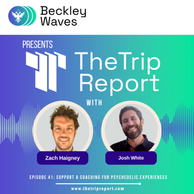 episode #41 Josh White: Support & Coaching for Psychedelic Experiences artwork