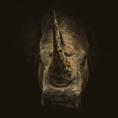 episode Episode 242 - Wizards vs. Aliens: The Thirteenth Floor artwork