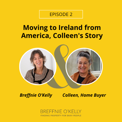 episode 61. Part 2 of the Country Home Series Moving to Ireland from America - Colleen's Story artwork