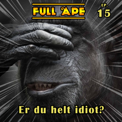 episode 15 - Er du helt idiot? artwork