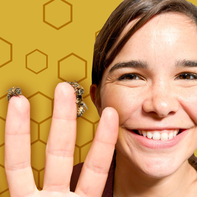 episode Honigbienen – Fleißige Insekten mit vielen Aufgaben artwork