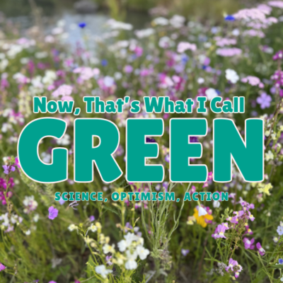 episode Backyard Biodiversity: How to Create a Wildlife Haven (Even in Small Spaces) artwork