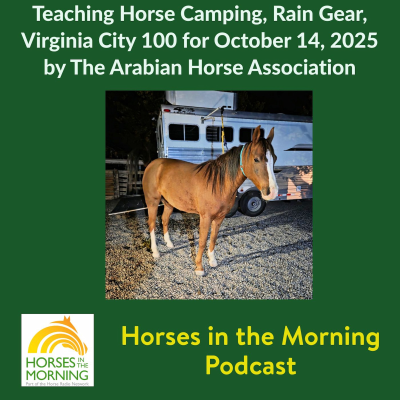episode Teaching Horse Camping, Rain Gear, Virginia City 100 for October 14, 2025 by The Arabian Horse Association artwork