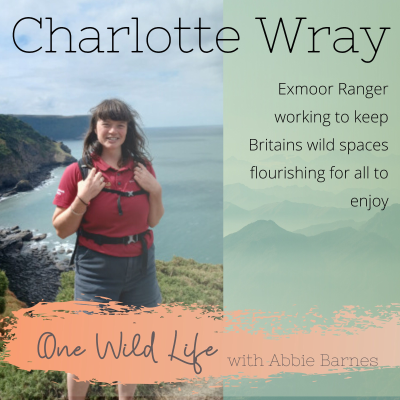 episode #20 Charlotte Wray Exmoor National Park Ranger and Environmental Advocate artwork
