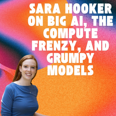 episode #8 – Sara Hooker: Big AI, The Compute Frenzy, and Grumpy Models artwork