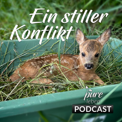 episode 75. Wildtiere vs. Menschen (Teil 2) artwork