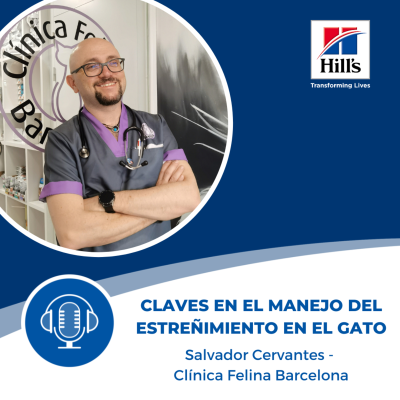 episode Claves en el manejo del estreñimiento en el gato con Salvador Cervantes artwork