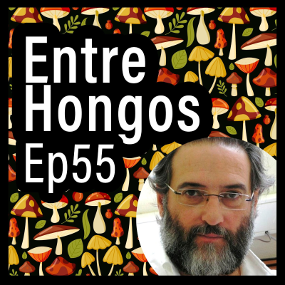 episode Entre Hongos Ep. 55 - Global Action for Fungal Infection (Dr. Juan Luis Rodríguez Tudela) artwork