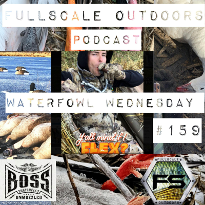 episode Waterfowl Wednesday #159 artwork