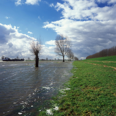 episode #39 Waar laten we het water? artwork