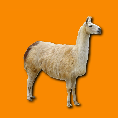 episode A cavacecio artwork