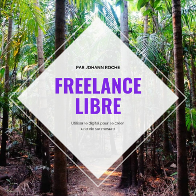 episode Freelance : Rencontre des PERSONNES INSPIRANTES ! (J'achète un terrain au Brésil) artwork