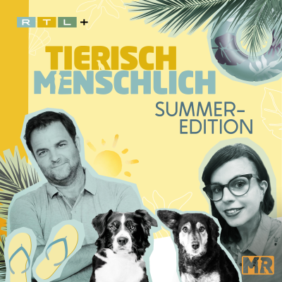episode Summer Edition #2: Sommernostalgie und Bahnärger artwork