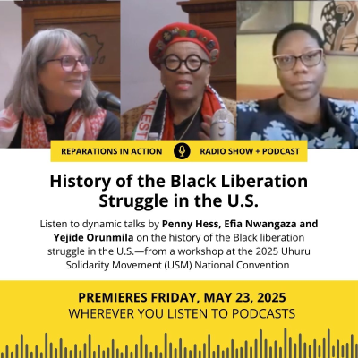 episode 2025 USM Convention - History of the Black Liberation Struggle artwork