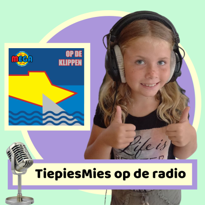 episode Bonus - TiepiesMies op de radio artwork