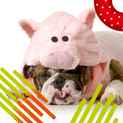 episode Gewohnheiten ändern – Wie wir den inneren Schweinehund überwinden artwork