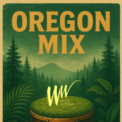 episode OREGON MIXTAPE | AFRO- CARIBBEAN VIBES artwork
