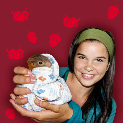 episode Eichhörnchen - Flinke Kletterkünstler mit Kuschelschwanz artwork