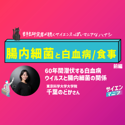 episode 60年間潜伏する白血病ウイルスと腸内細菌の関係【腸内細菌と白血病/食事 前編】#159 artwork