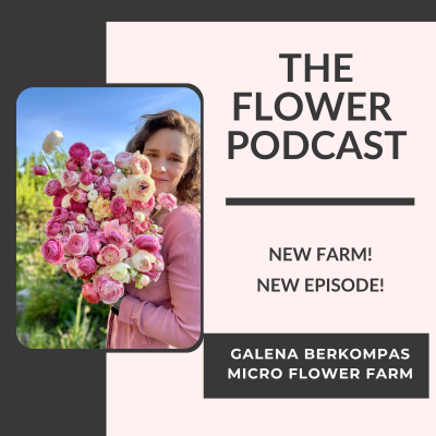 episode Starting Fresh with Galena Berkompas, Micro Flower Farm artwork