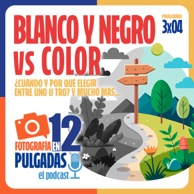 episode Fotografía en Blanco y negro vs Color - 3x04 artwork