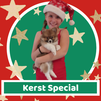 episode S4 Afl. 7 - Kerst Special artwork