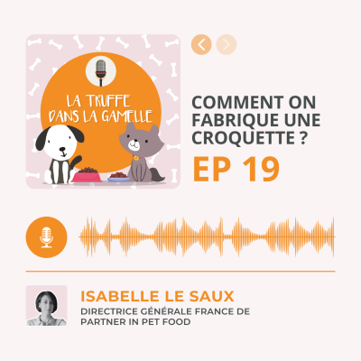 episode Comment on fabrique une croquette ? artwork