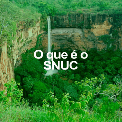 O que é o SNUC