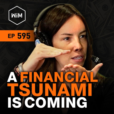 episode Bitcoin Has No Brakes w/ Lyn Alden (WiM595) artwork