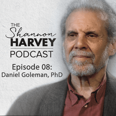 episode Daniel Goleman, PhD (#8) artwork