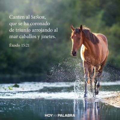episode JINETE Y CABALLO artwork