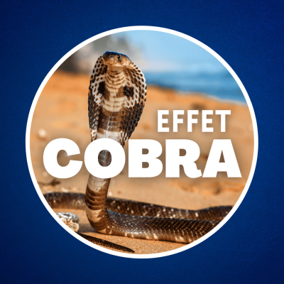 episode Qu'est-ce que l'effet Cobra ? 🐍 (Il nous menace tous...) artwork